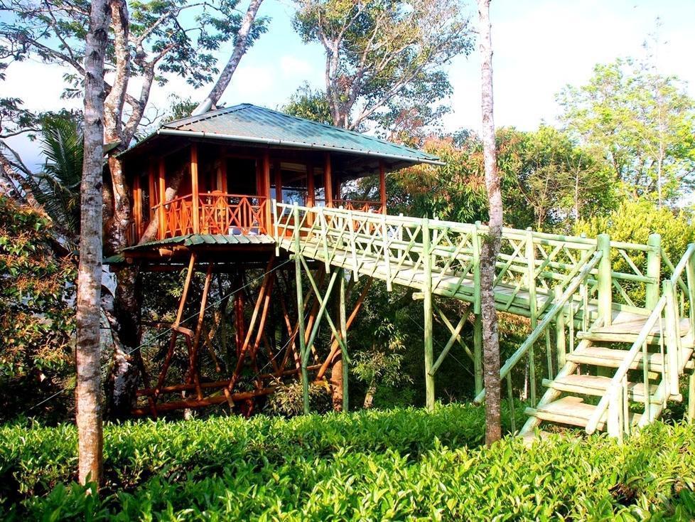 מונאר Dream Catcher Resort מראה חיצוני תמונה